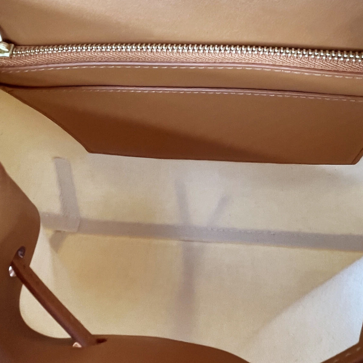 Mansur Gavriel Canvas Tan Lady Bag - Love that Bag etc - Preowned Authentic Designer Handbags Preloved Fashions