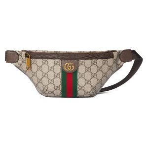 Gucci Ophidia Small Belt Bag