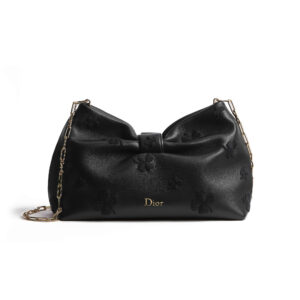 Dior Small Dior Bow Bag