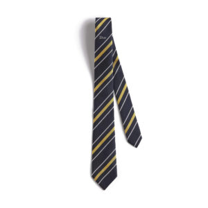 Dior Striped Tie