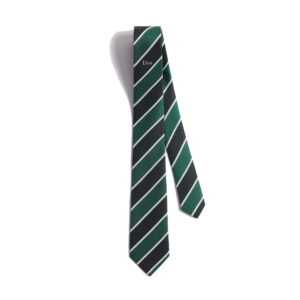 Dior Striped Tie
